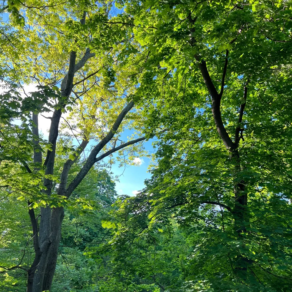 mumby.bsky.social's profile picture