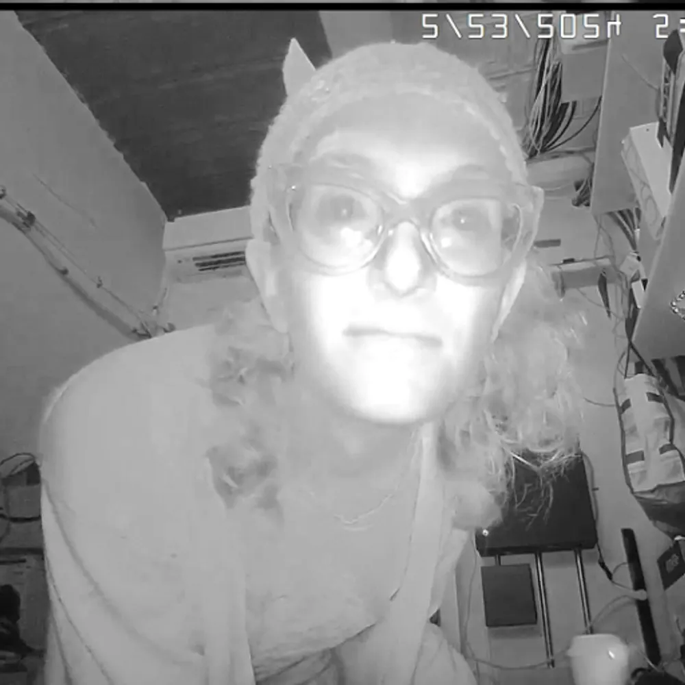 aloe.gay's profile picture