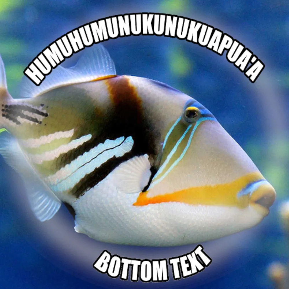 johnnybgetgoode.bsky.social's profile picture