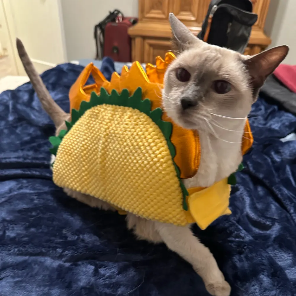 mullingitover.com's profile picture