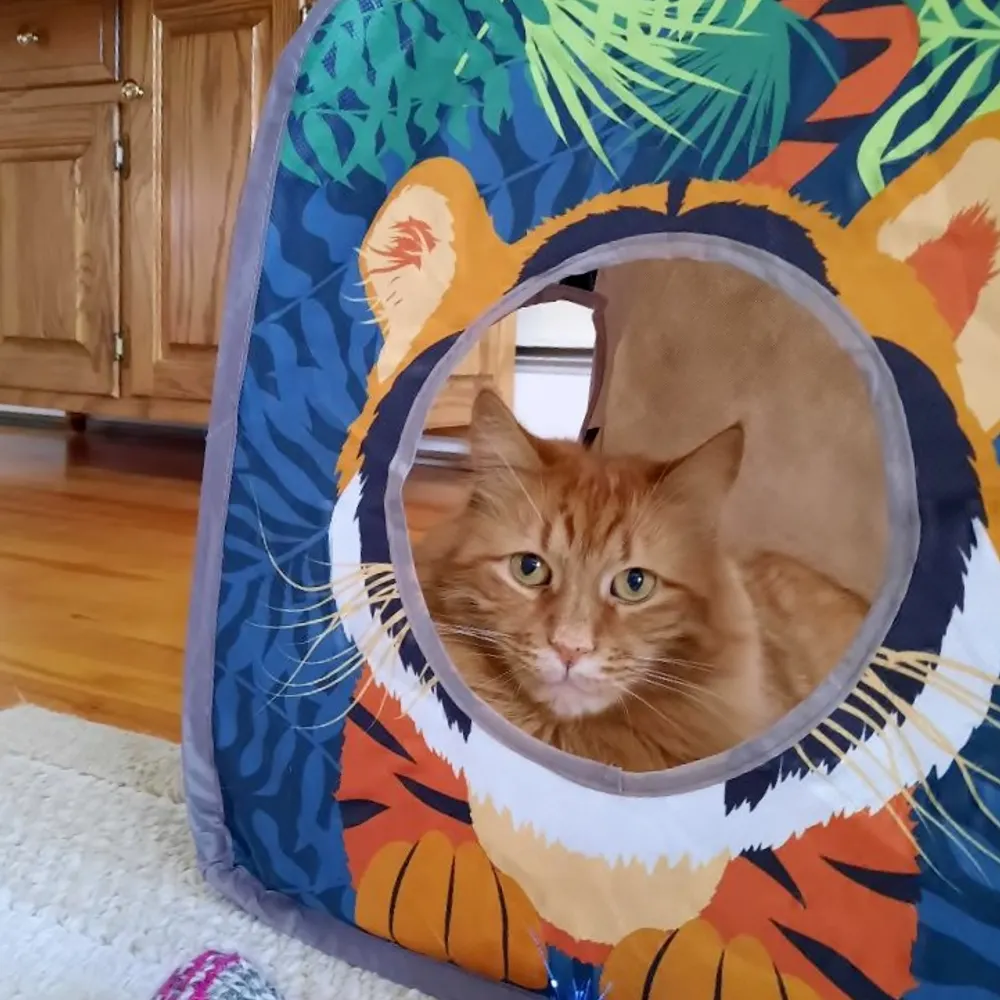 kdneedles.bsky.social's profile picture