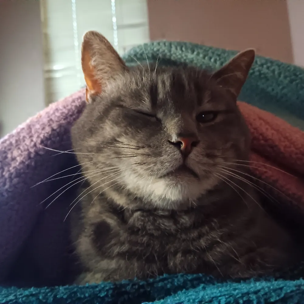 jetsamnflotsam.bsky.social's profile picture