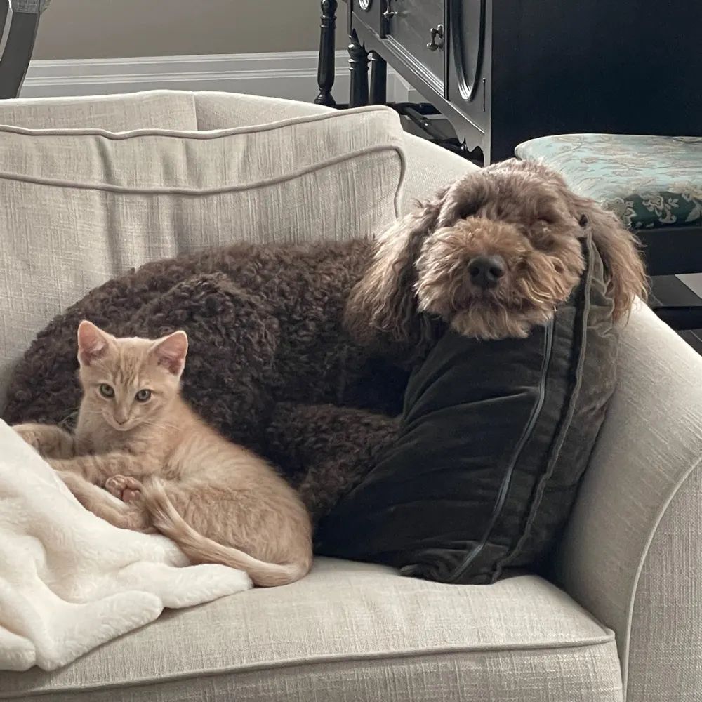 chrishill.bsky.social's profile picture