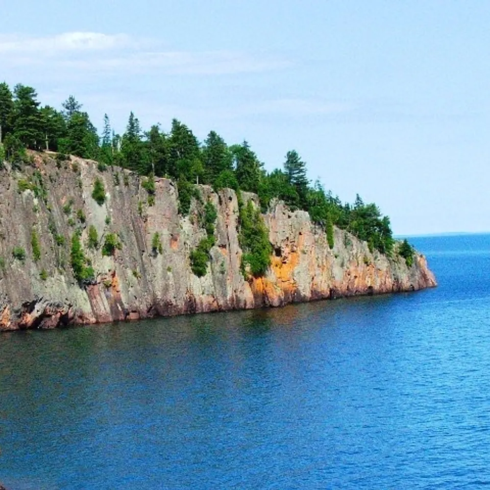 paulgus.bsky.social's profile picture