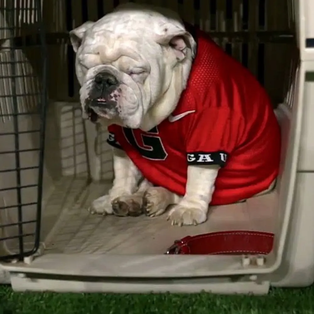 adambstrassberg.bsky.social's profile picture