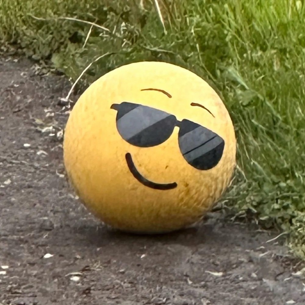 centre21.bsky.social's profile picture