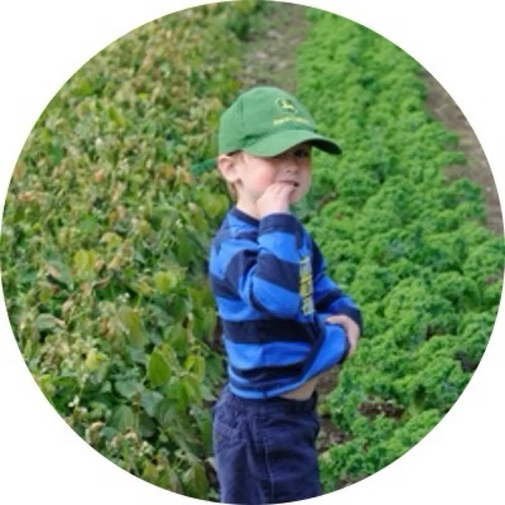 locavite.bsky.social's profile picture