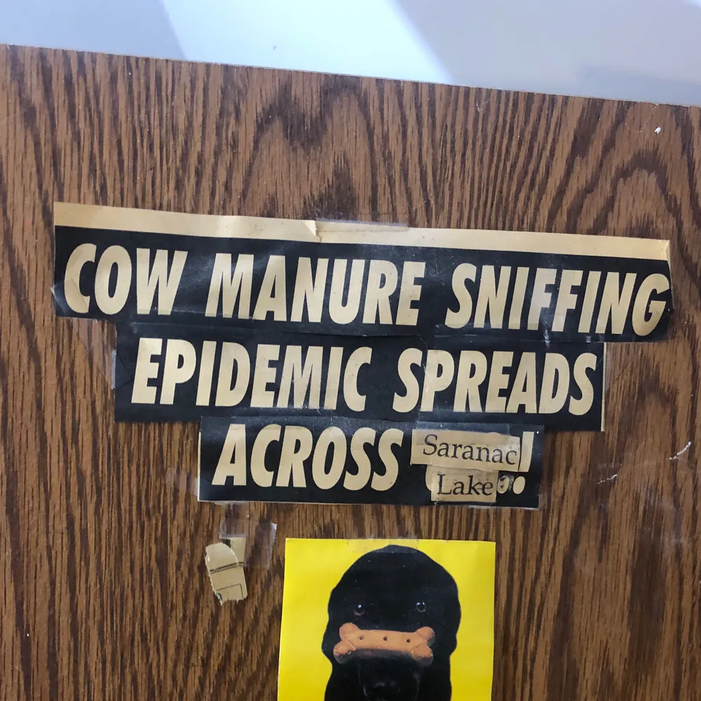 boysef.bsky.social's profile picture