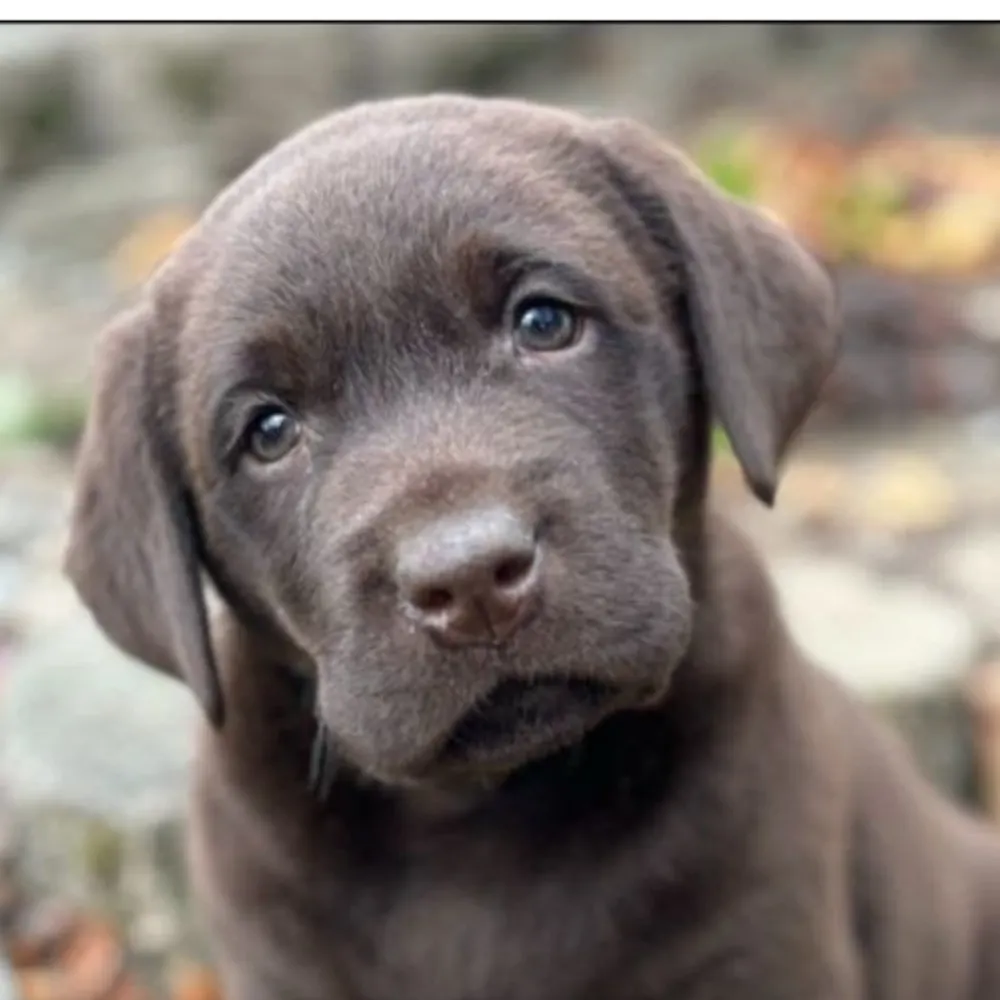 johnjado.bsky.social's profile picture