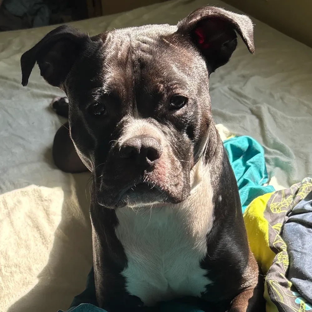 rpgirl27.bsky.social's profile picture