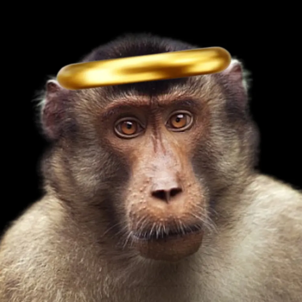 godsgayembrace.bsky.social's profile picture