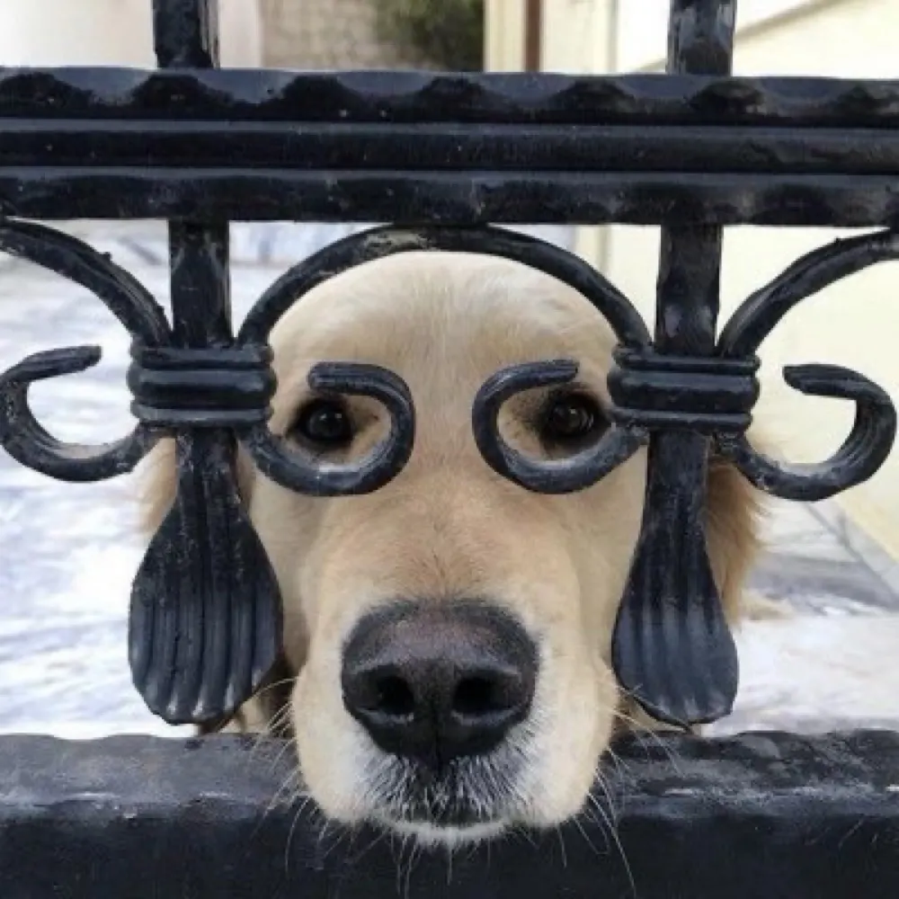 itsjohnmartin.bsky.social's profile picture