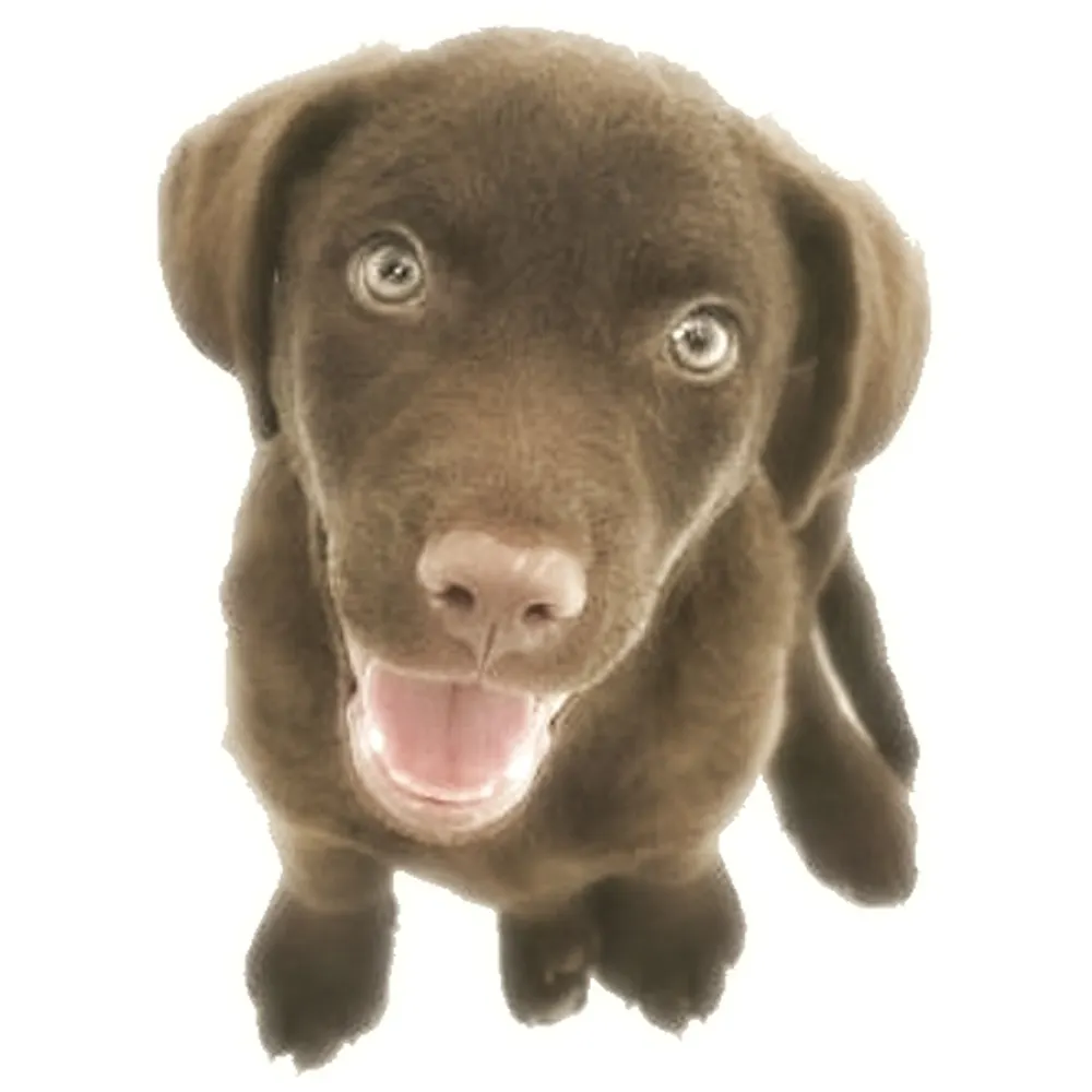 jlewisdickerson.bsky.social's profile picture