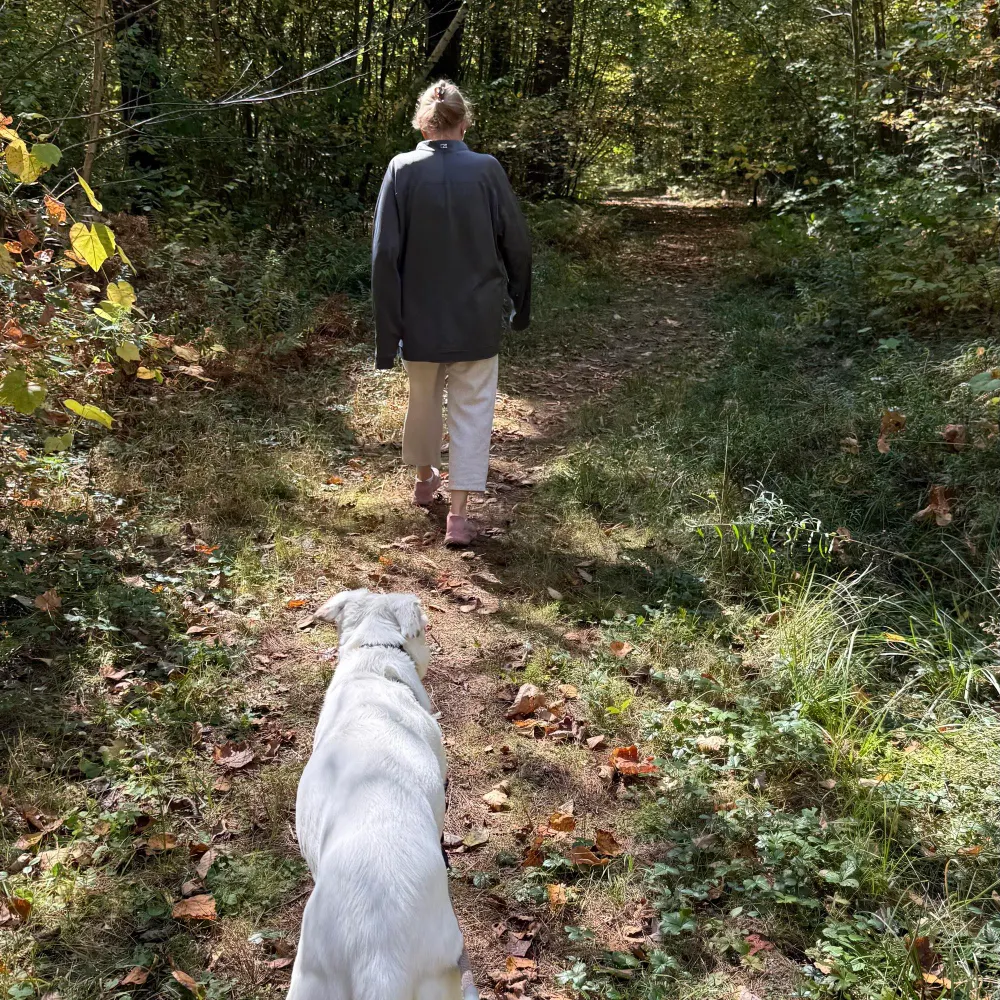 jeannine2023.bsky.social's profile picture