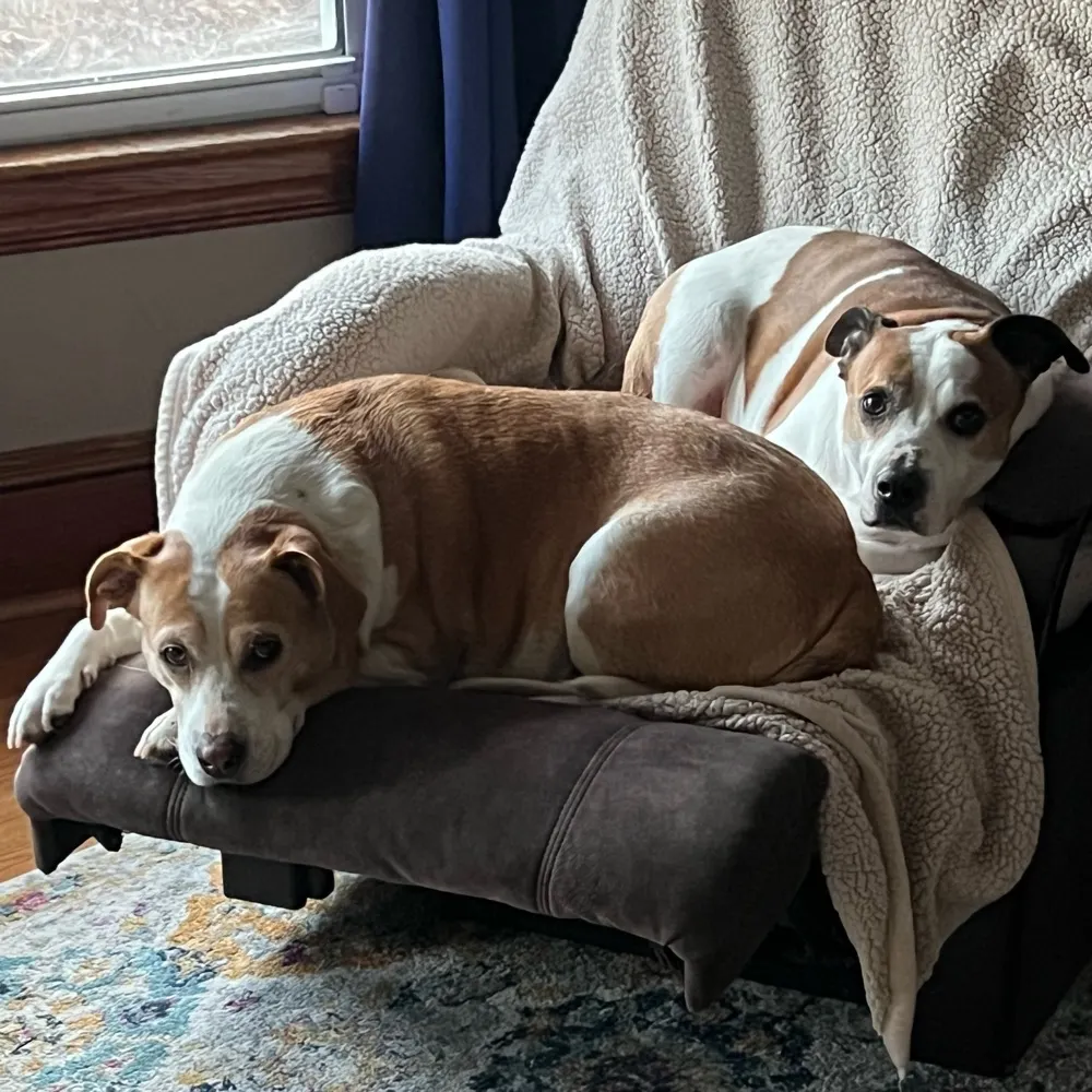 bobolinski.bsky.social's profile picture