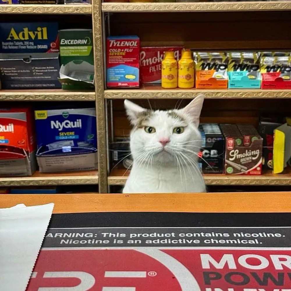 unfamousl.bsky.social's profile picture