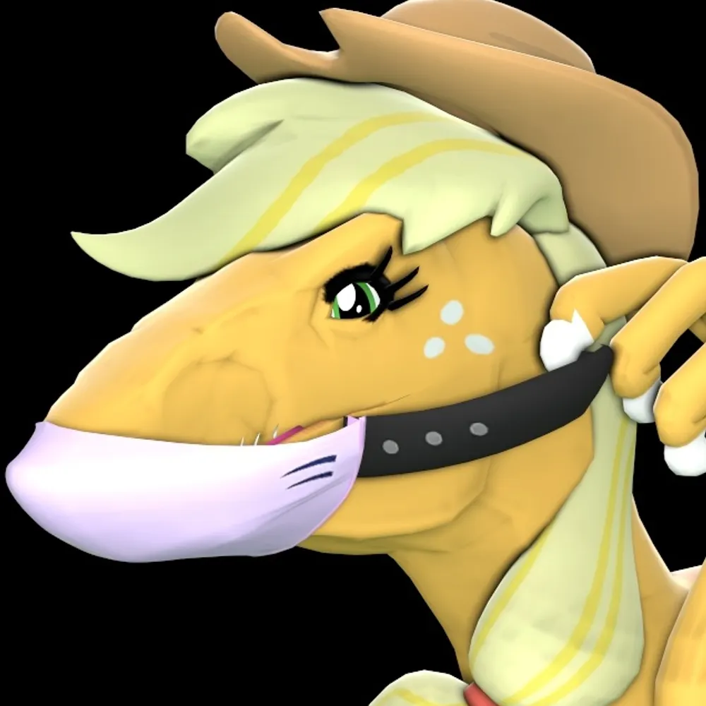 raptornx01.bsky.social's profile picture