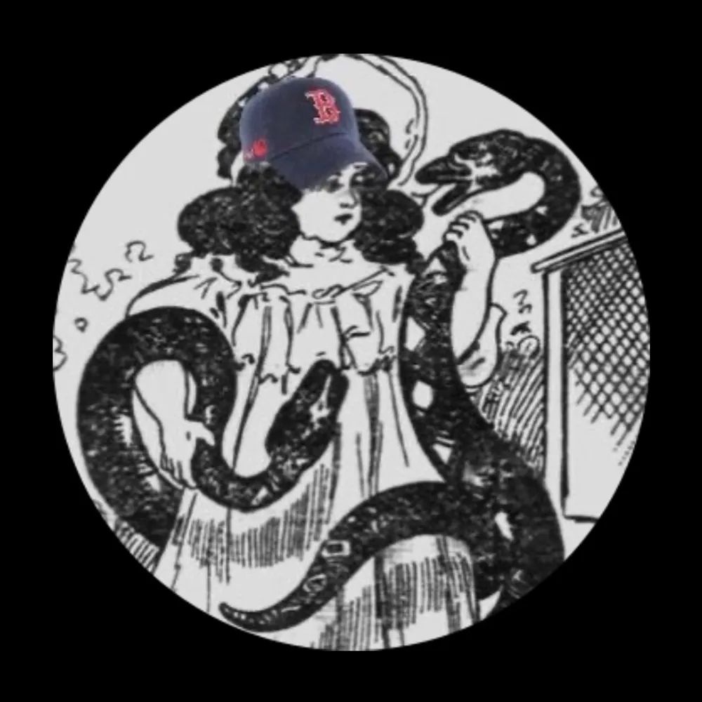 nvbosox.bsky.social's profile picture