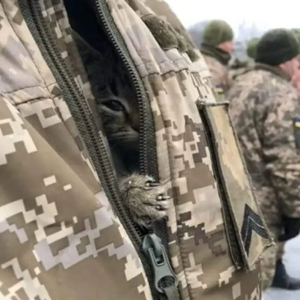 levidamien.bsky.social's profile picture