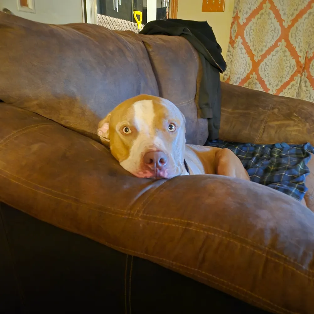 biggles25.bsky.social's profile picture