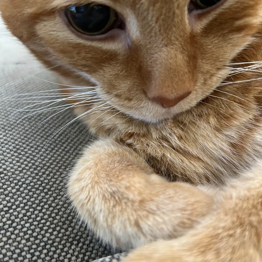 okthen25.bsky.social's profile picture