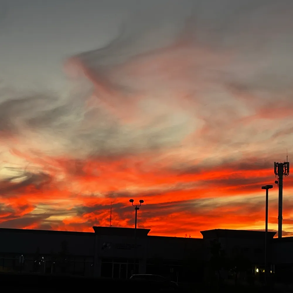 retiredomain.bsky.social's profile picture