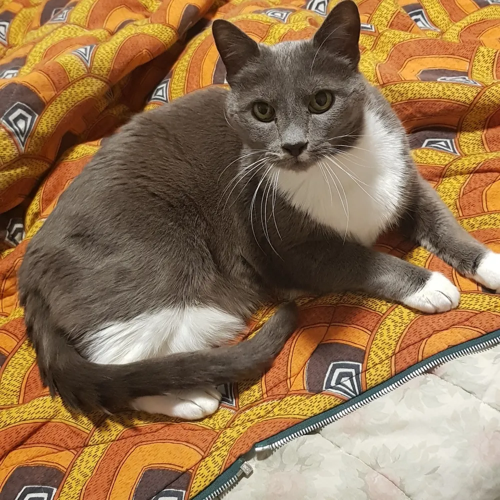 smithmojones.bsky.social's profile picture