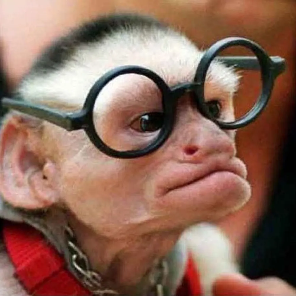 cleminan.uk's profile picture