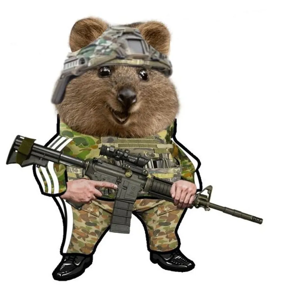 quokkafella.nafofellas.com's profile picture