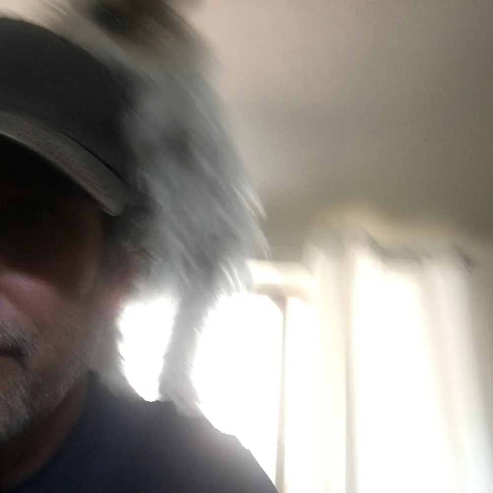 sesn.bsky.social's profile picture