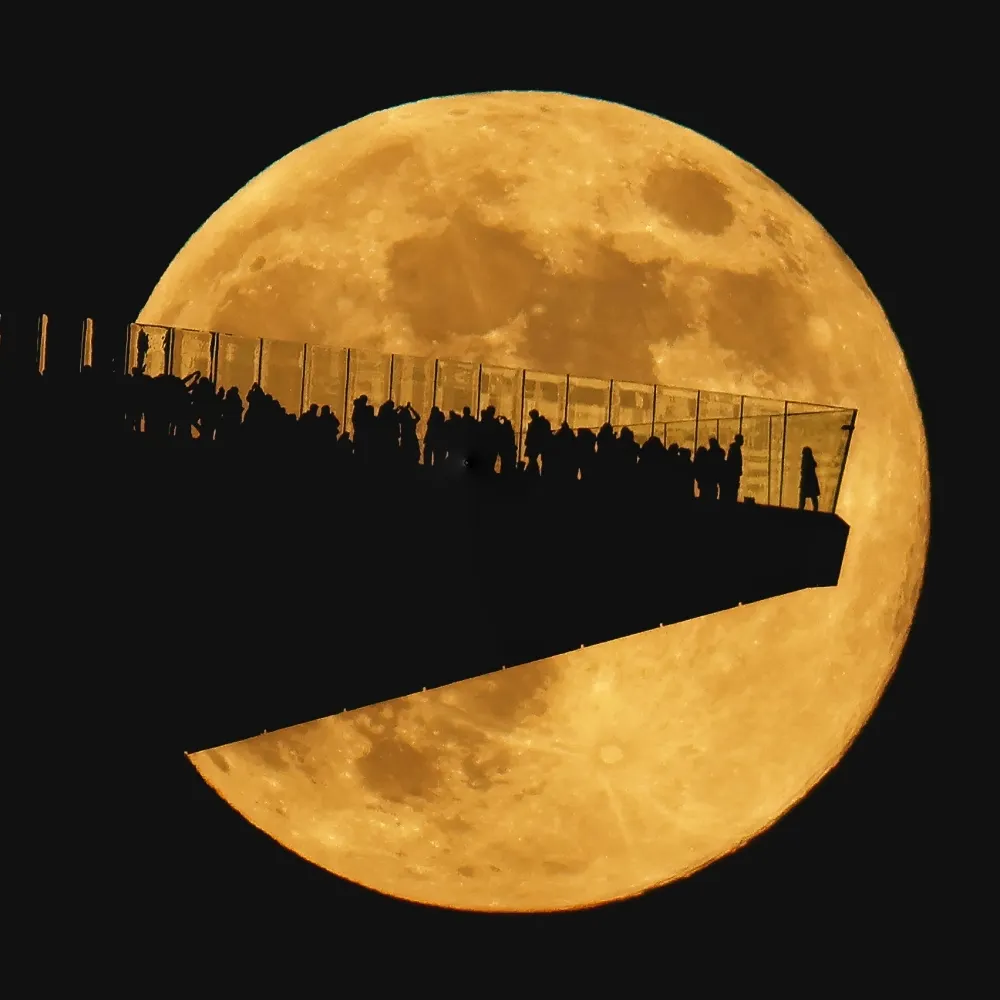 garyhershorn.bsky.social's profile picture