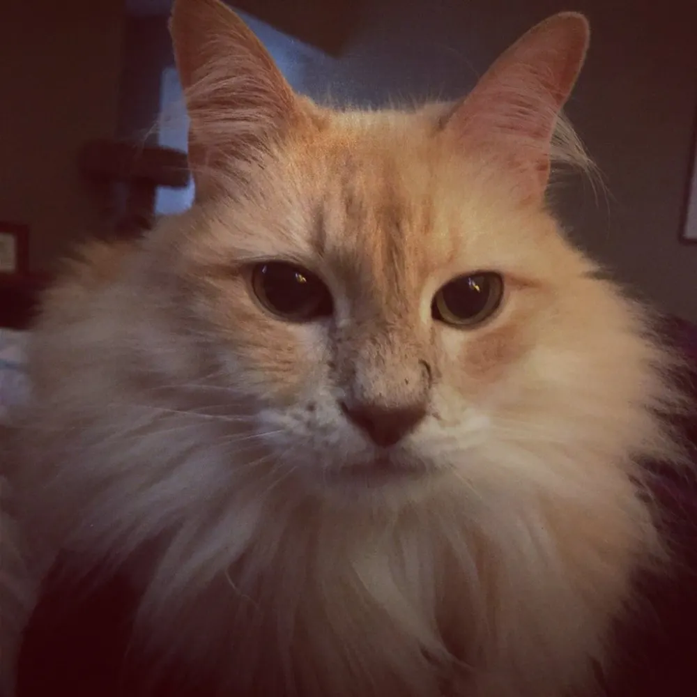 mwgore.bsky.social's profile picture