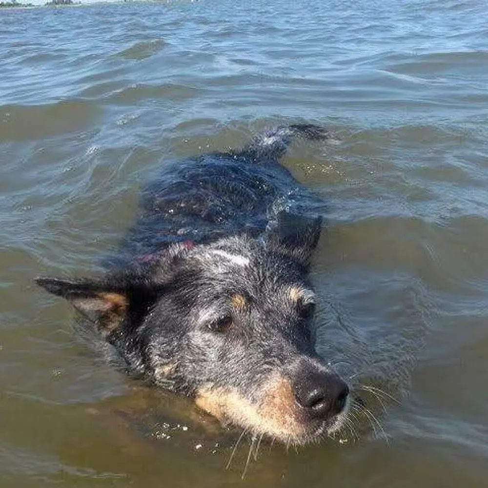 clemfandango.bsky.social's profile picture