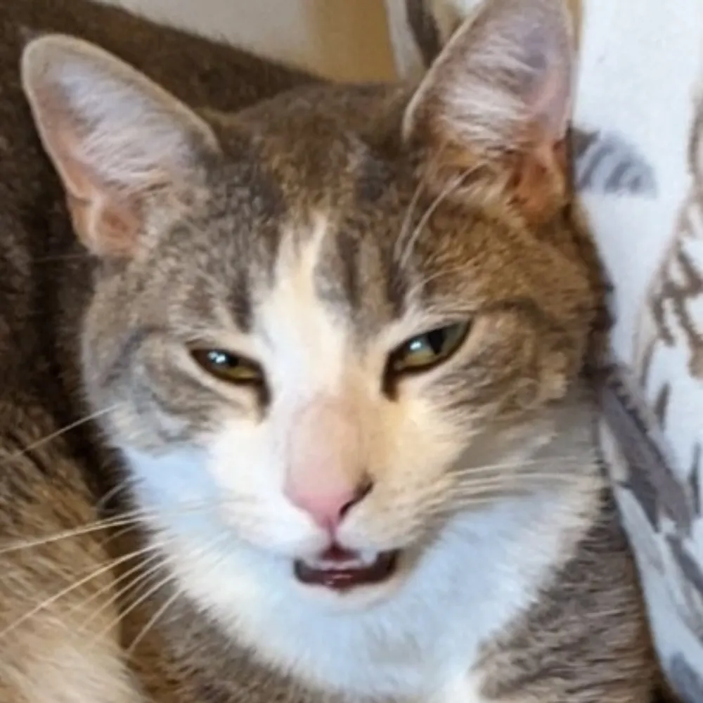 tim999999.bsky.social's profile picture