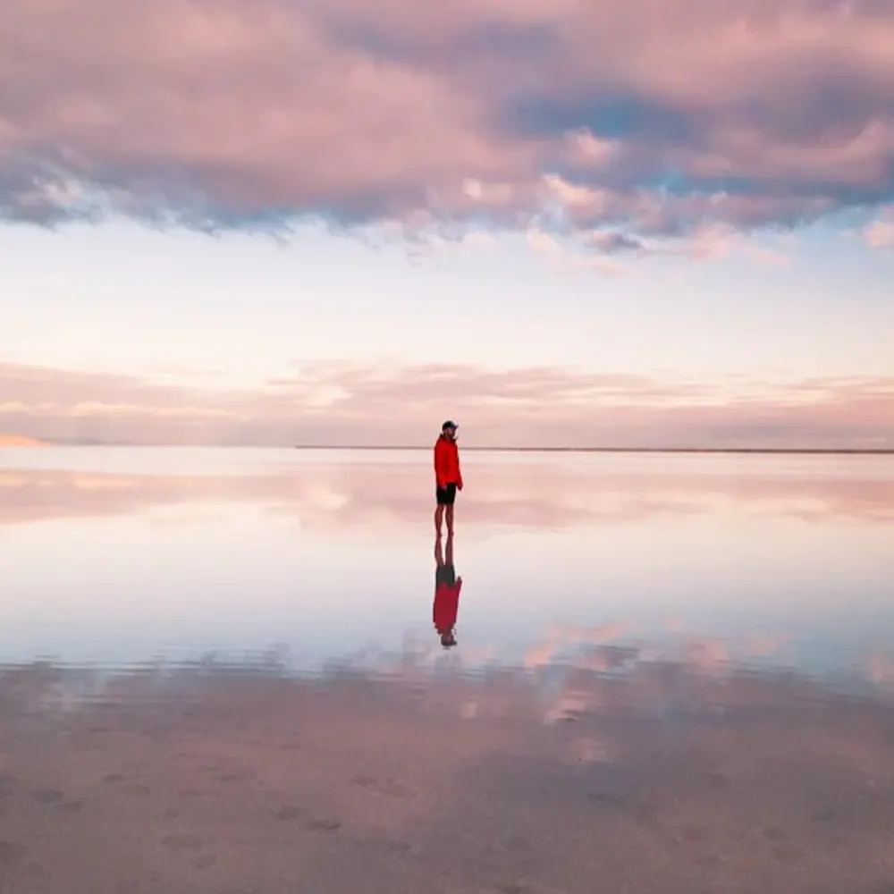 nouveaux-horizons.bsky.social's profile picture