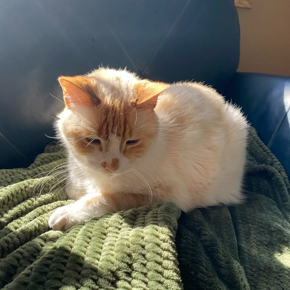 dukeofsnoop.bsky.social's profile picture