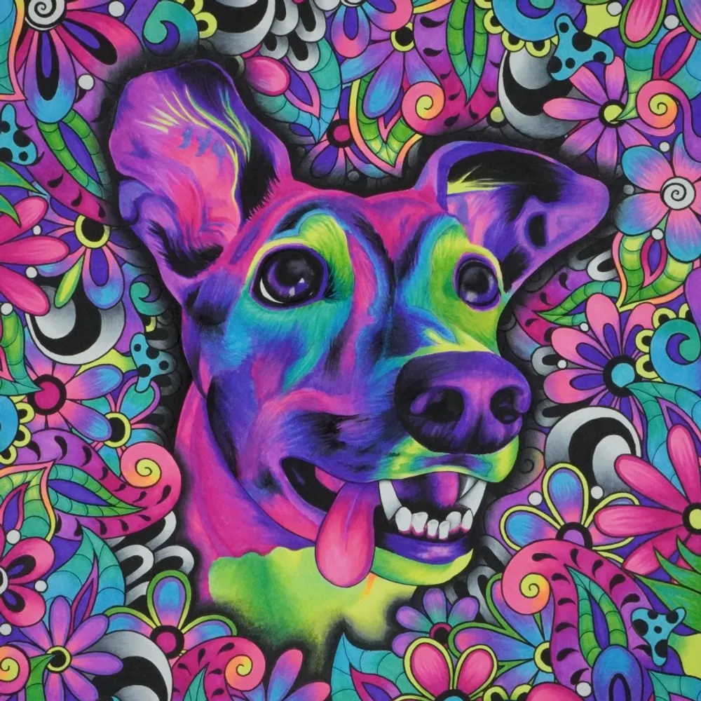 pumpkinhoundpdx.bsky.social's profile picture