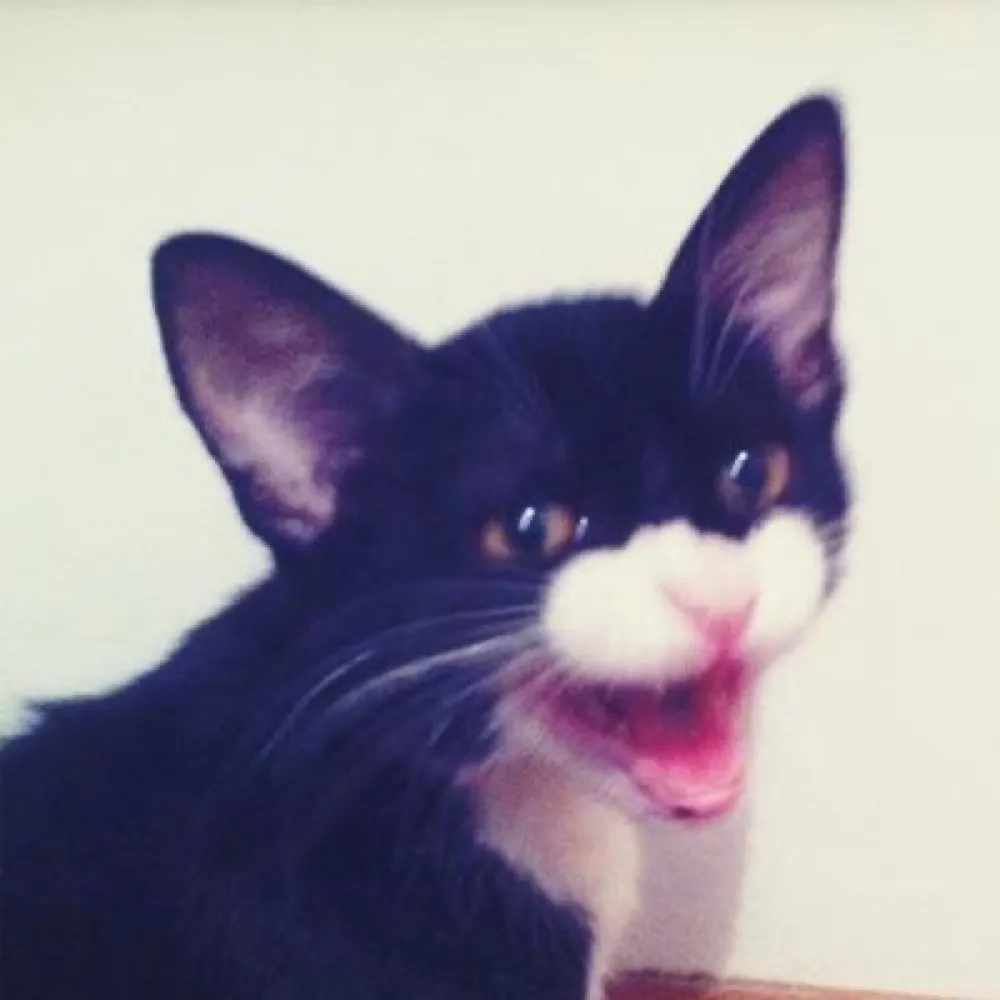 sound3vision.bsky.social's profile picture