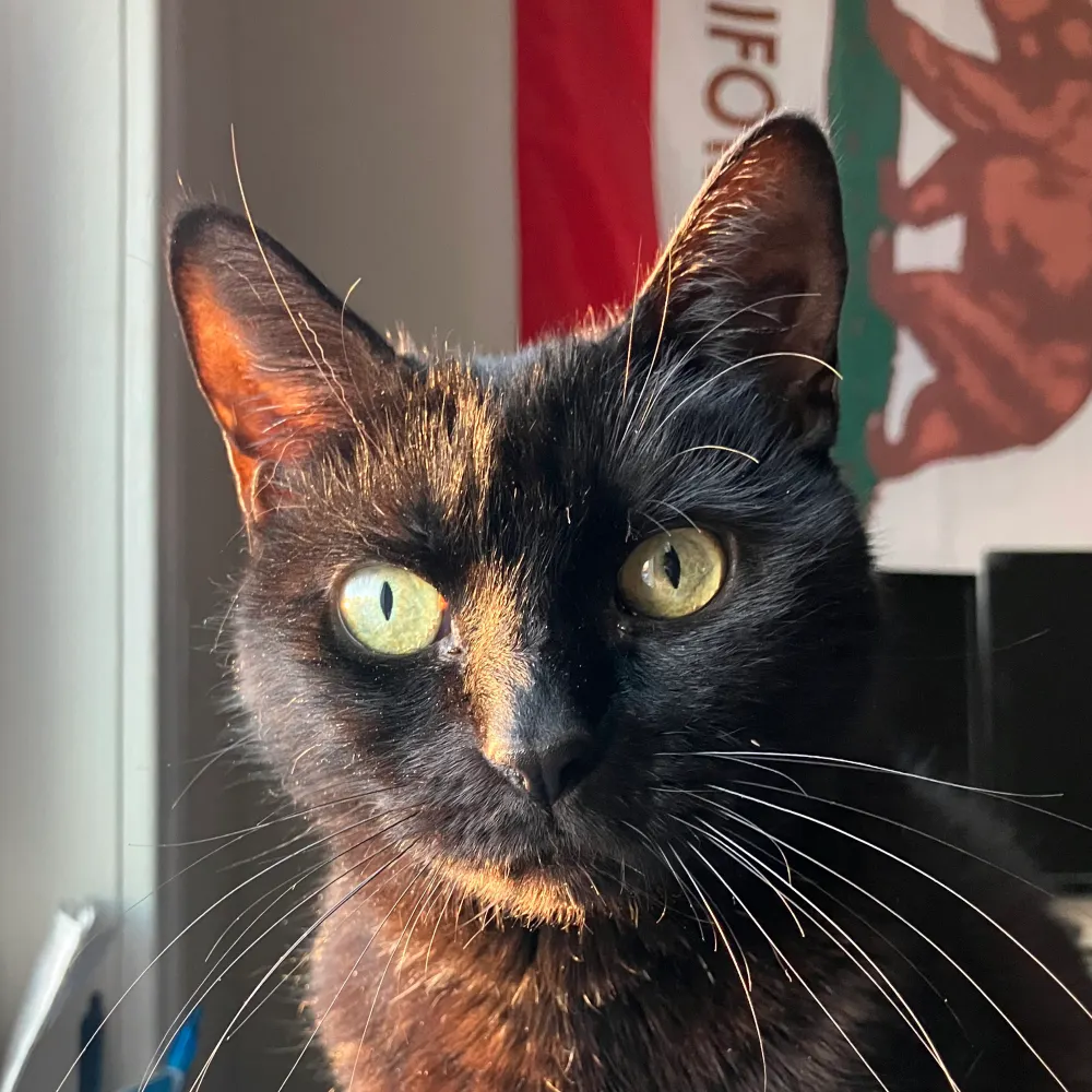 nostalgiavictim.bsky.social's profile picture