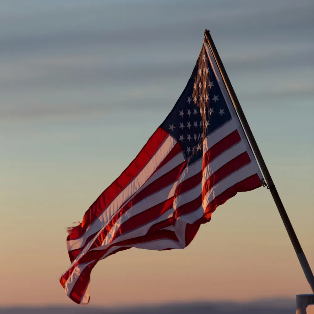 apj813.bsky.social's profile picture