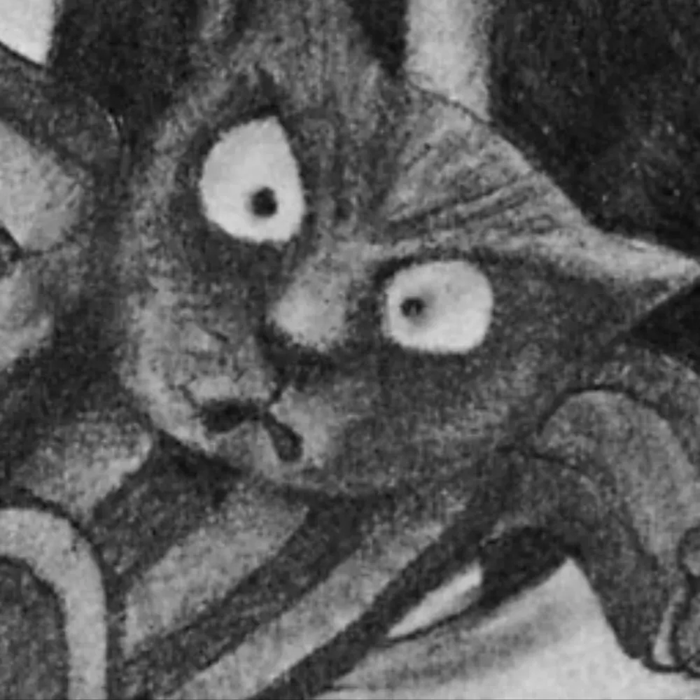 around-the-outside.bsky.social's profile picture