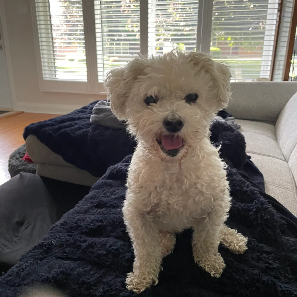 hana-with-one-n.bsky.social's profile picture