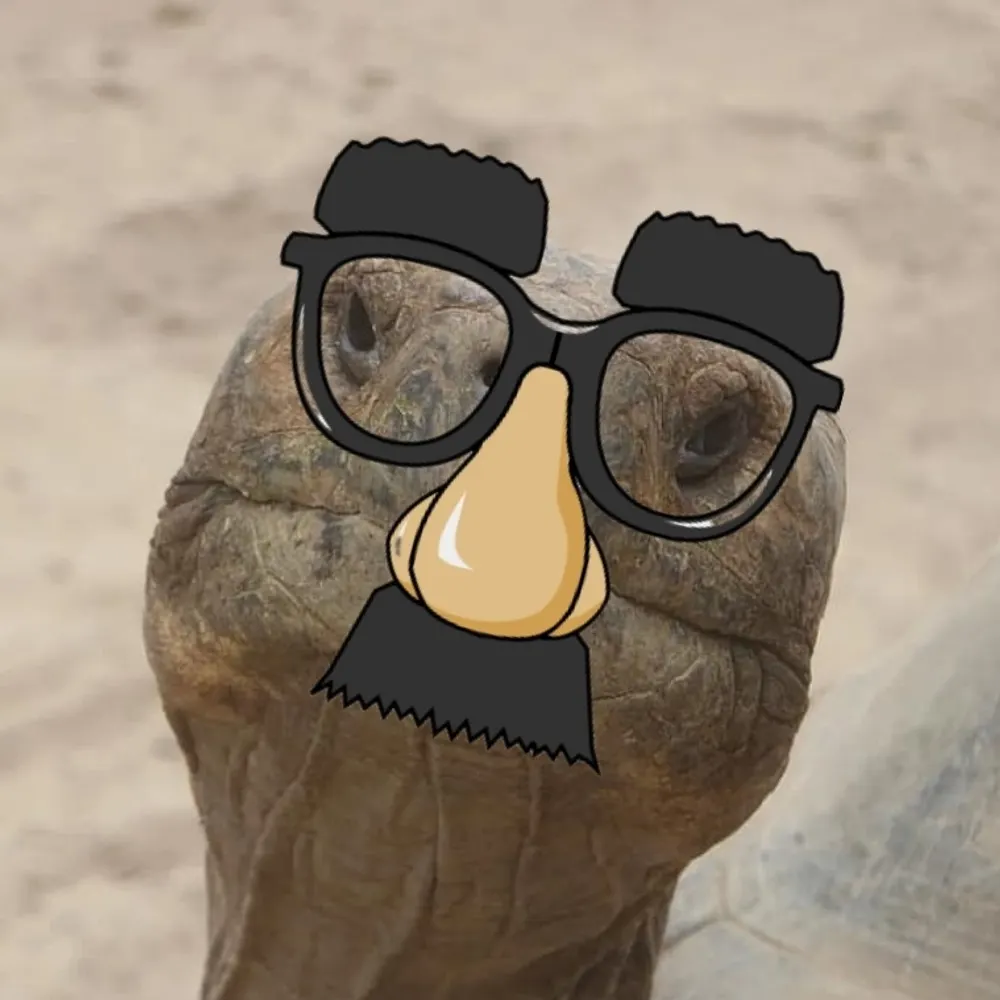 tollytb.bsky.social's profile picture