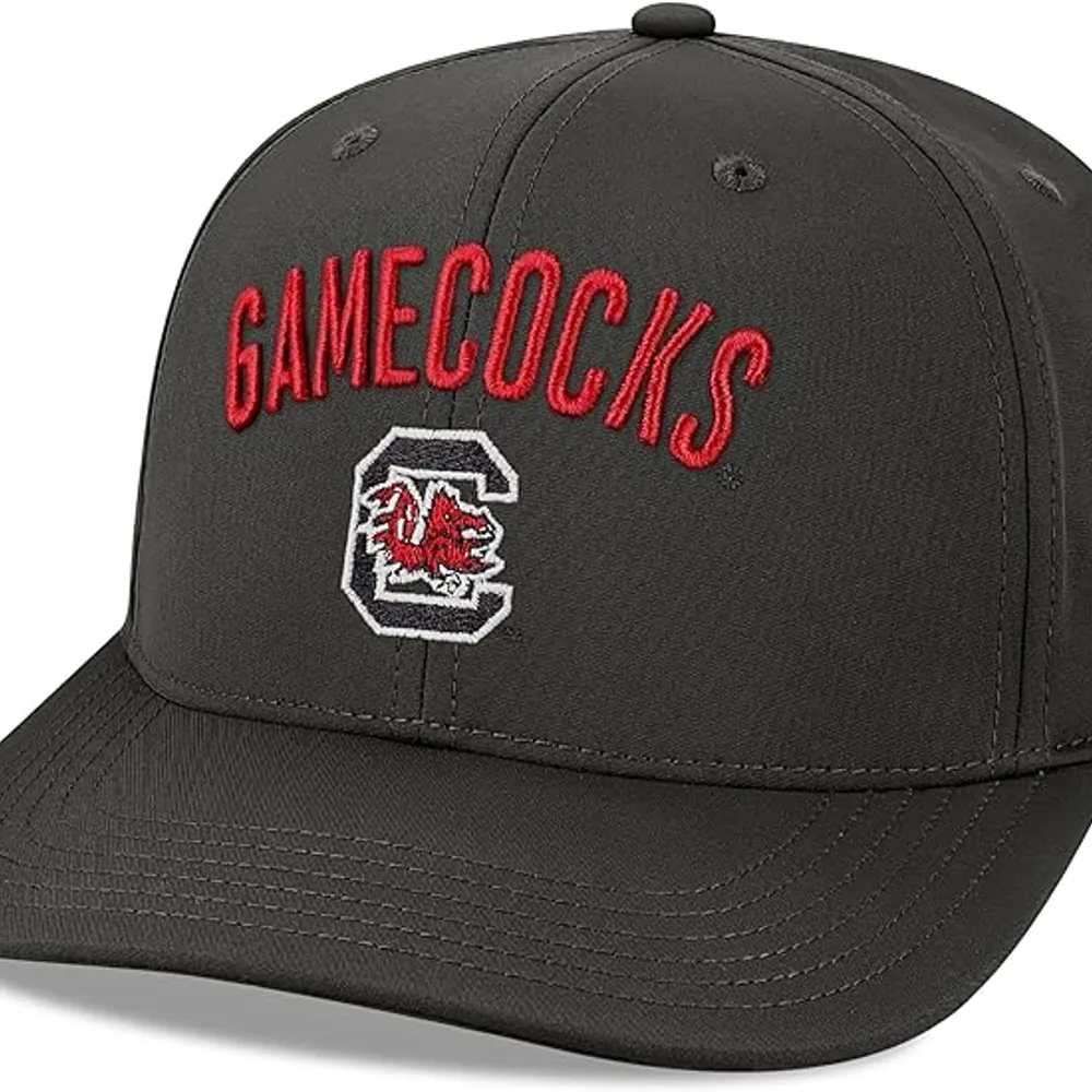 born-gamecock.bsky.social's profile picture