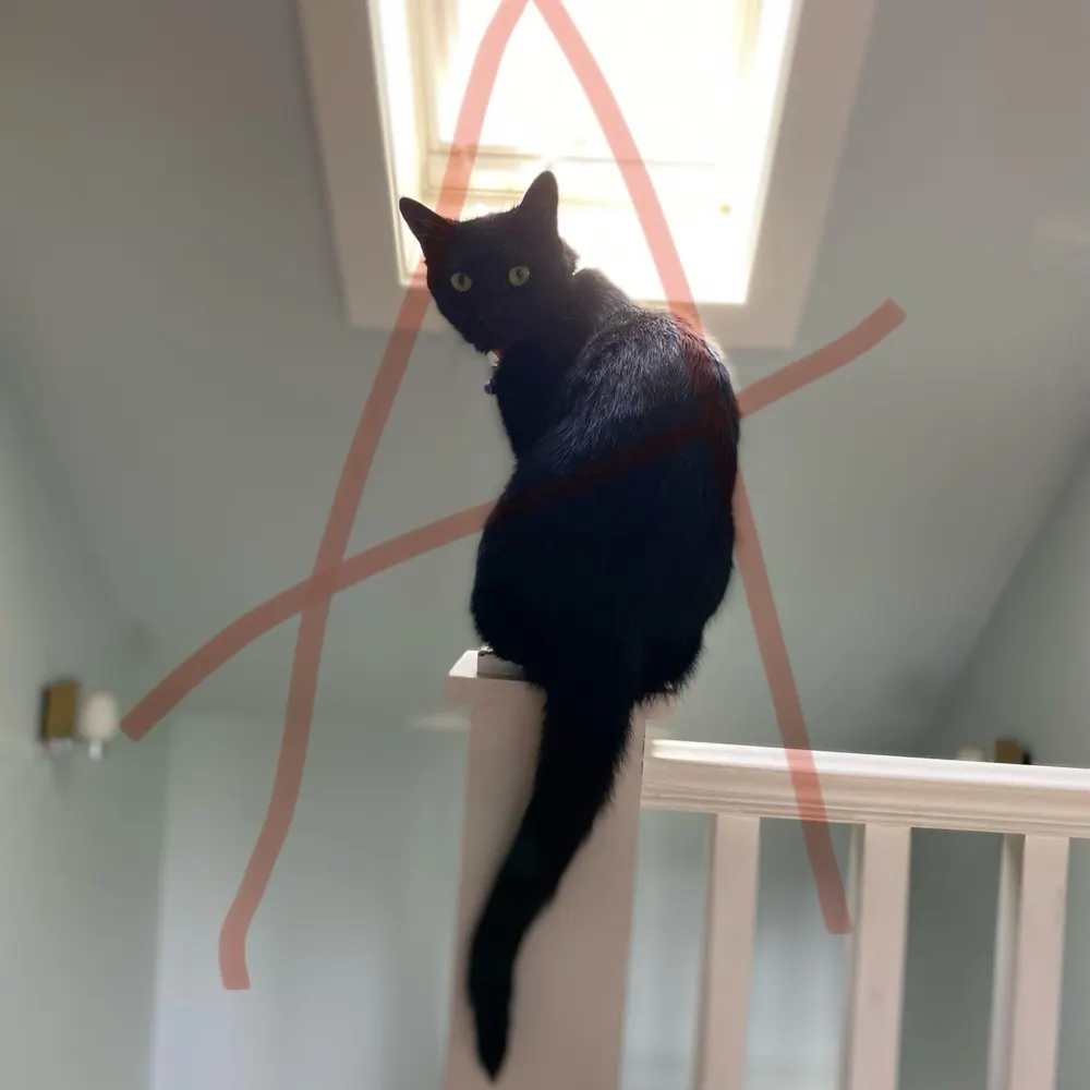 jackcharnista.bsky.social's profile picture