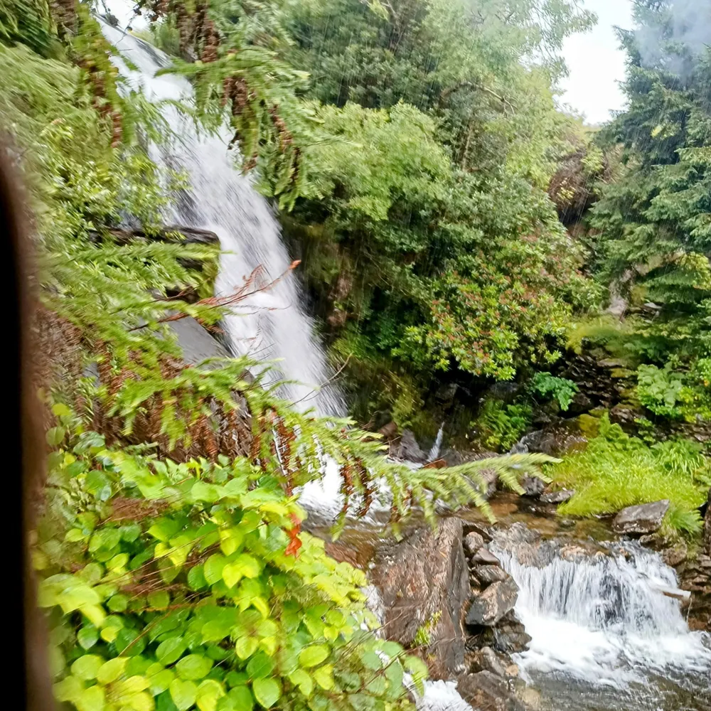 ros14.bsky.social's profile picture