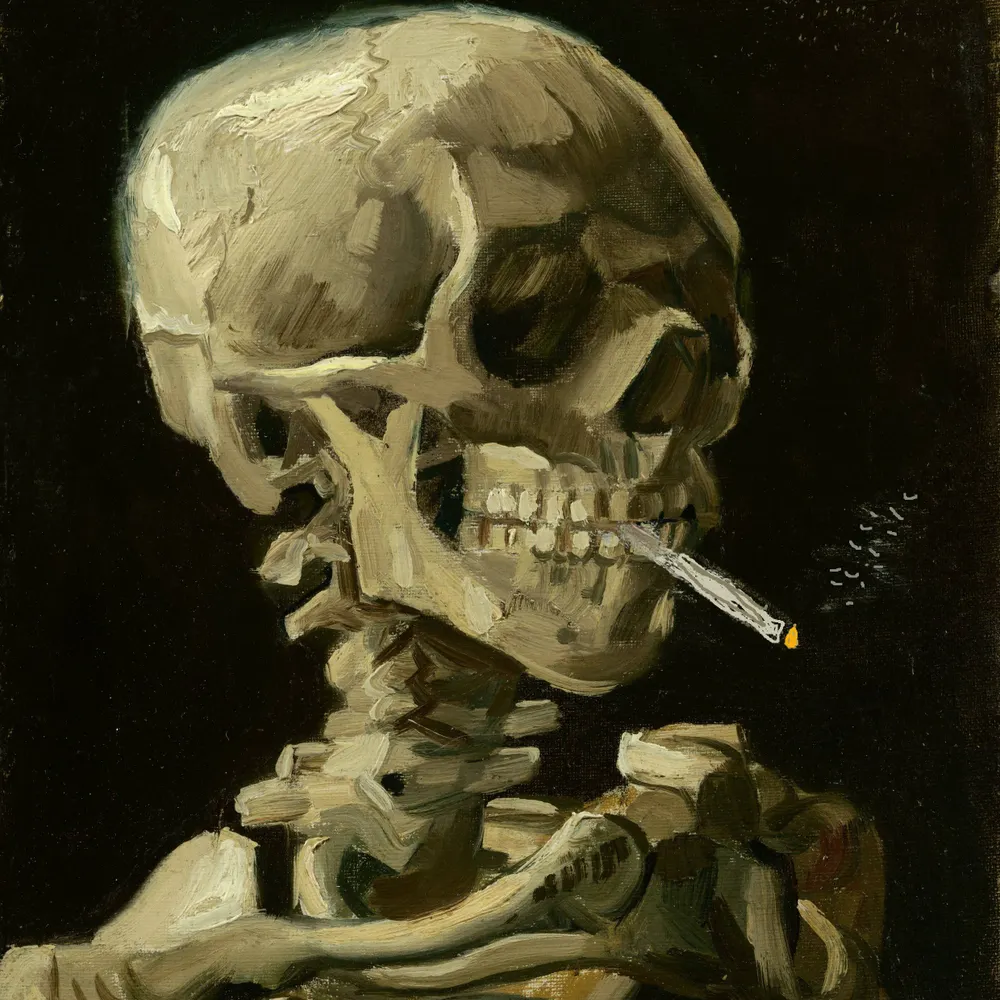 dvdbutler.bsky.social's profile picture