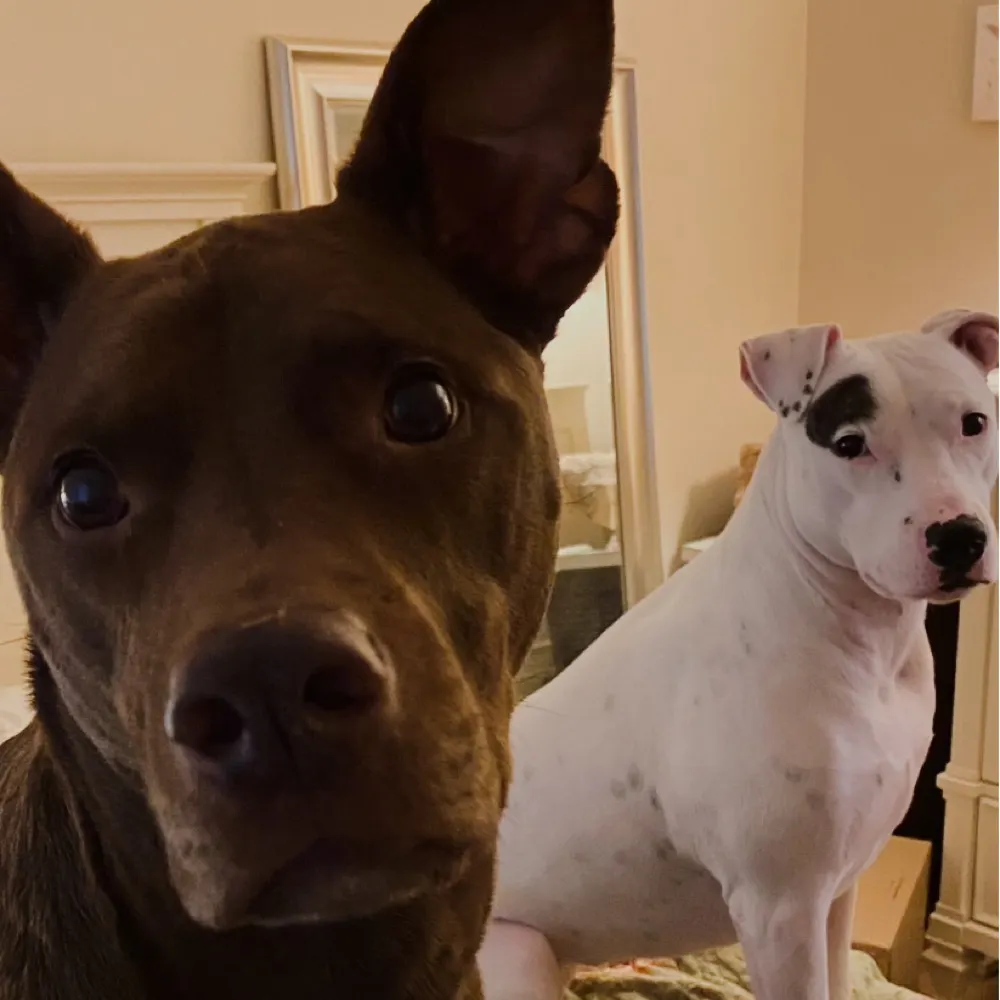 yoligirl.bsky.social's profile picture