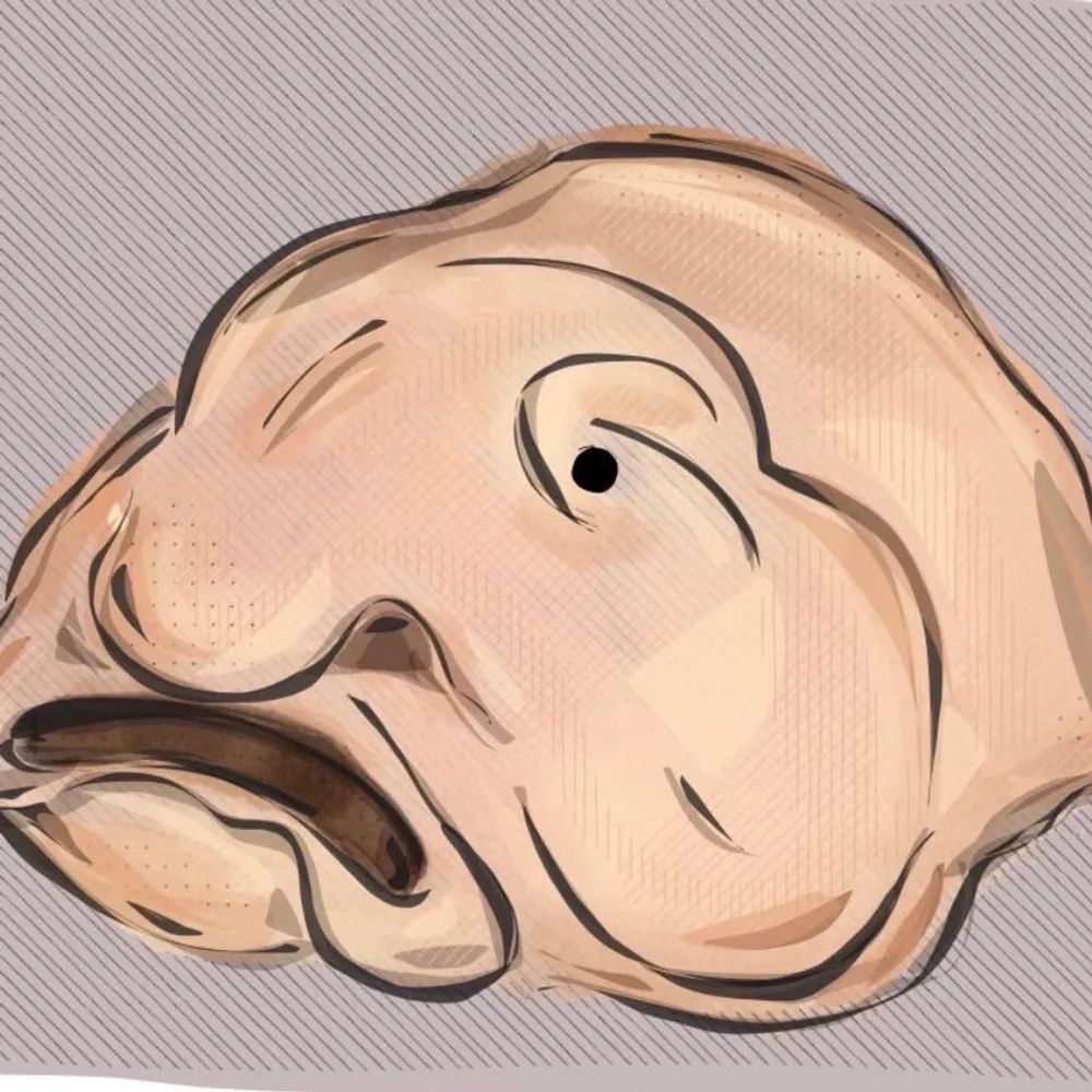 blobfishissexy.bsky.social's profile picture