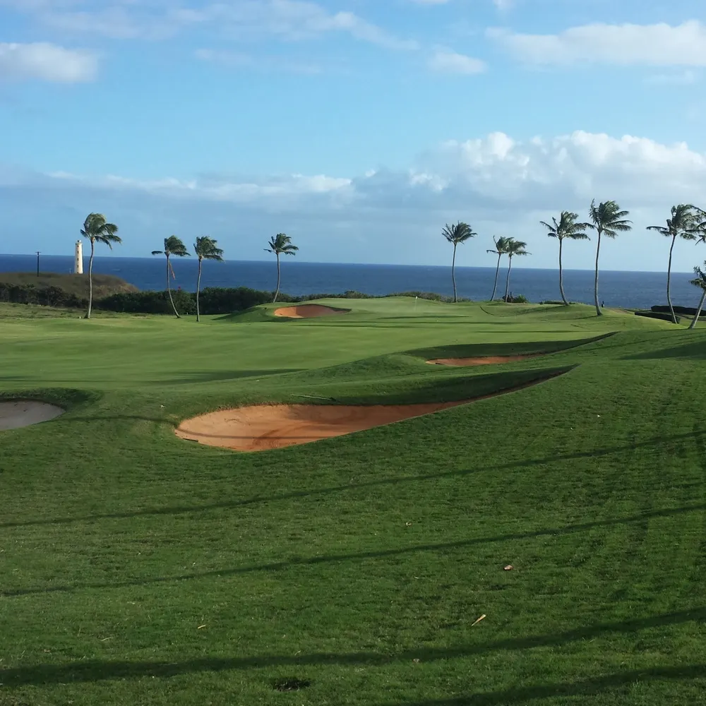 bigrde1969.bsky.social's profile picture